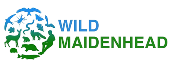 Wild Maidenhead partner logo 2